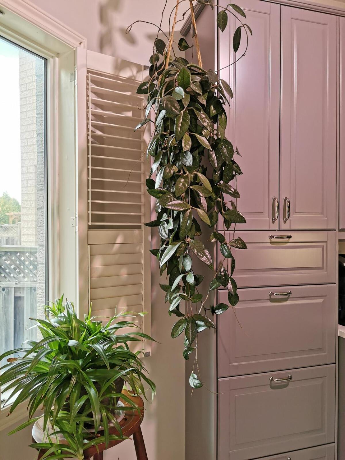 4 Bedroom 3 Washroom Charming Home In Markham With Warm Cozy Vibe Luaran gambar